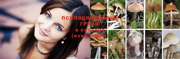 шишки Нягань