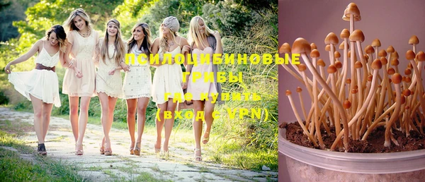 соль курить ск Няндома