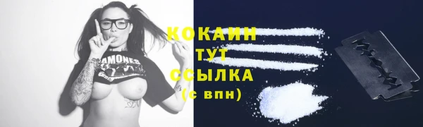 шишки Нягань