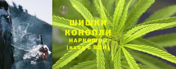 шишки Нягань