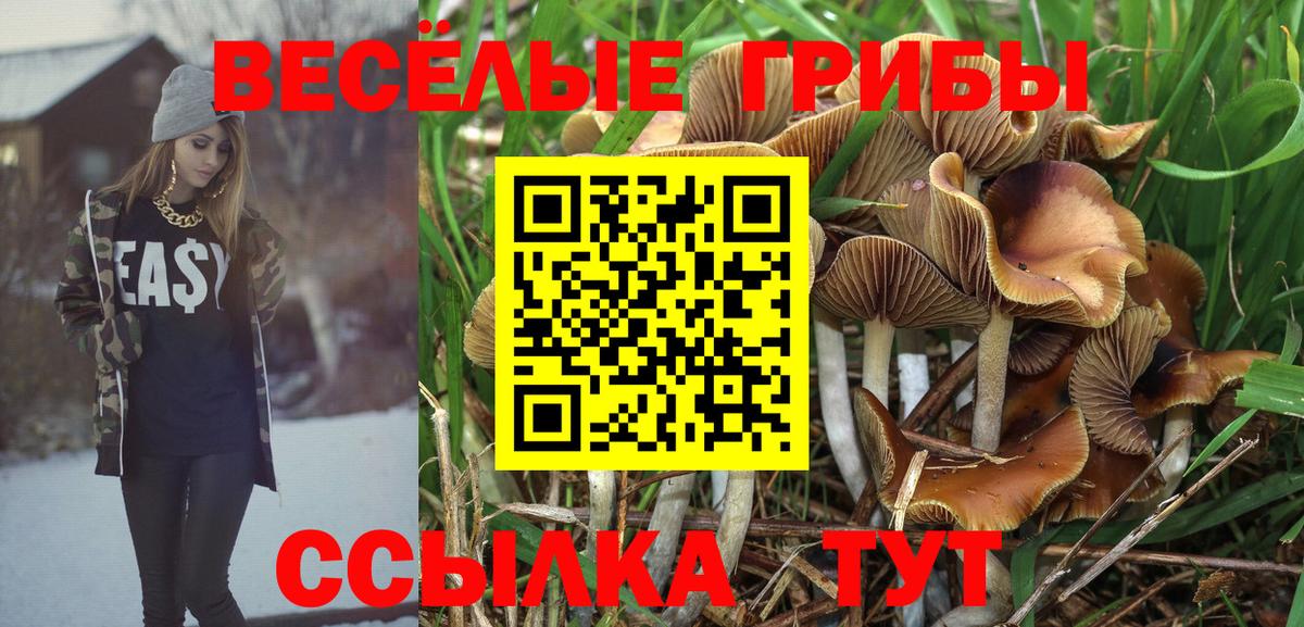Галлюциногенные грибы мухоморы  Вход с VPN  Торжок 